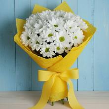Букет цветов из:  Хризантемы #REPLACE_PRED# Мосальске