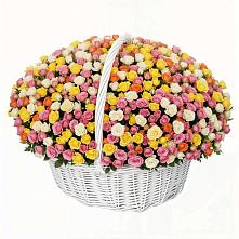 Премиум букет из: Розы в Мосальске