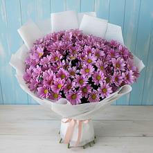 Букет цветов из:  Хризантемы #REPLACE_PRED# Мосальске