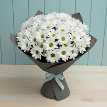 Букет цветов из:  Хризантемы #REPLACE_PRED# Мосальске