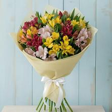 Букет цветов из:  Альстромерии #REPLACE_PRED# Мосальске