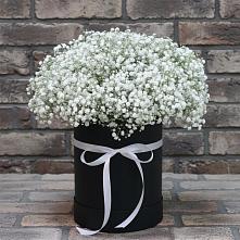 Цветочная композиция из Гипсофила в шляпной коробке в Мосальске